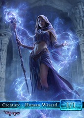 Human Wizard #8
